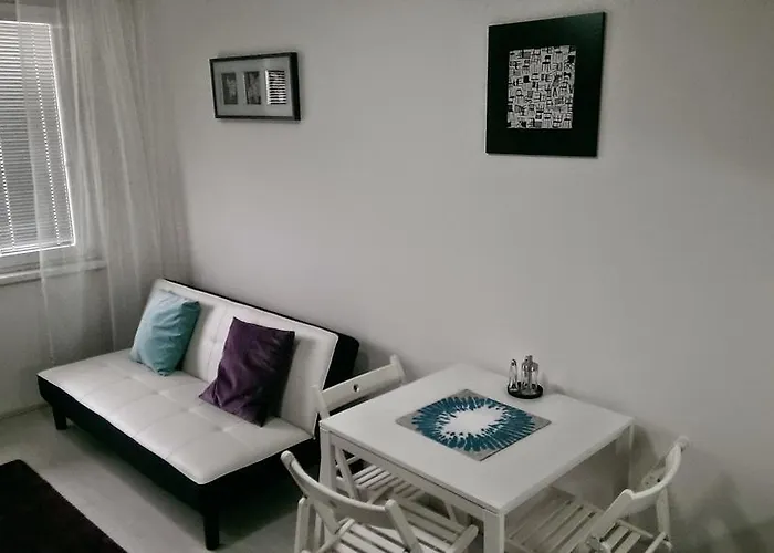 Hotel Terek