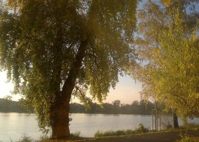 Terek *
